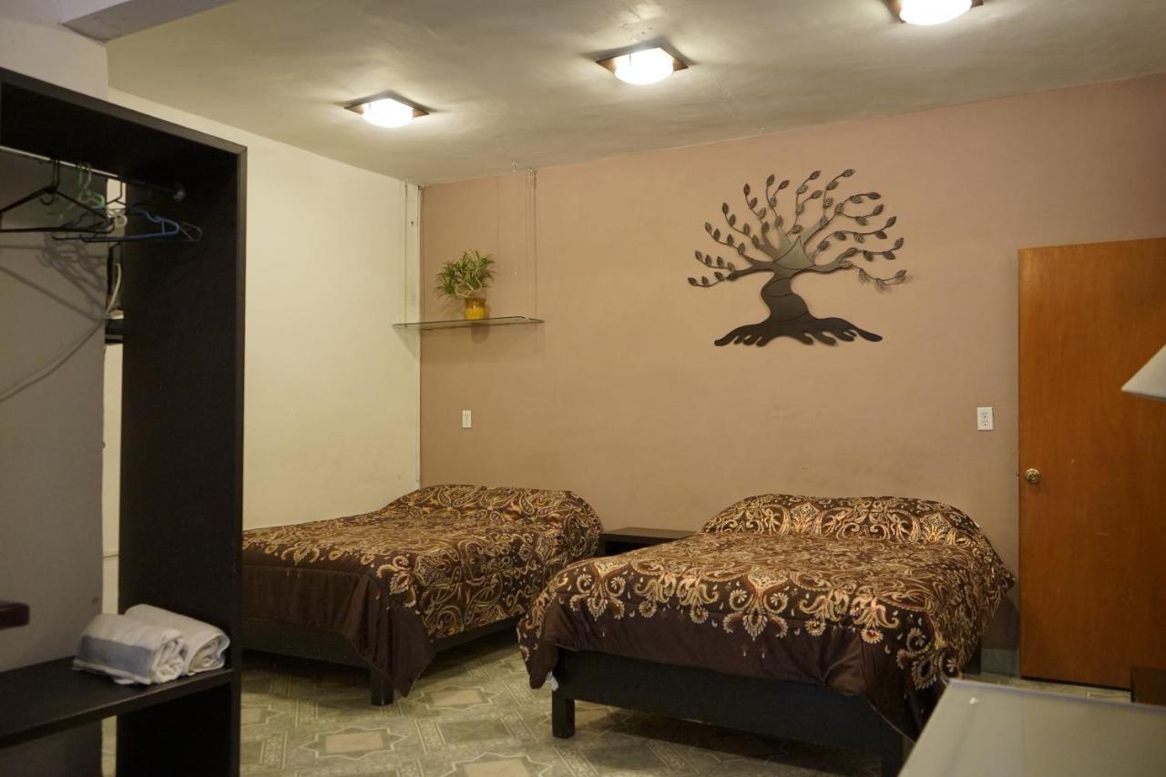 Telpochcalli Hotel & Temazcal 샌후안토드와캔 외부 사진