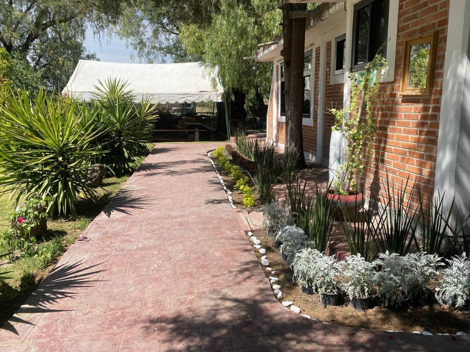 Telpochcalli Hotel & Temazcal 샌후안토드와캔 외부 사진